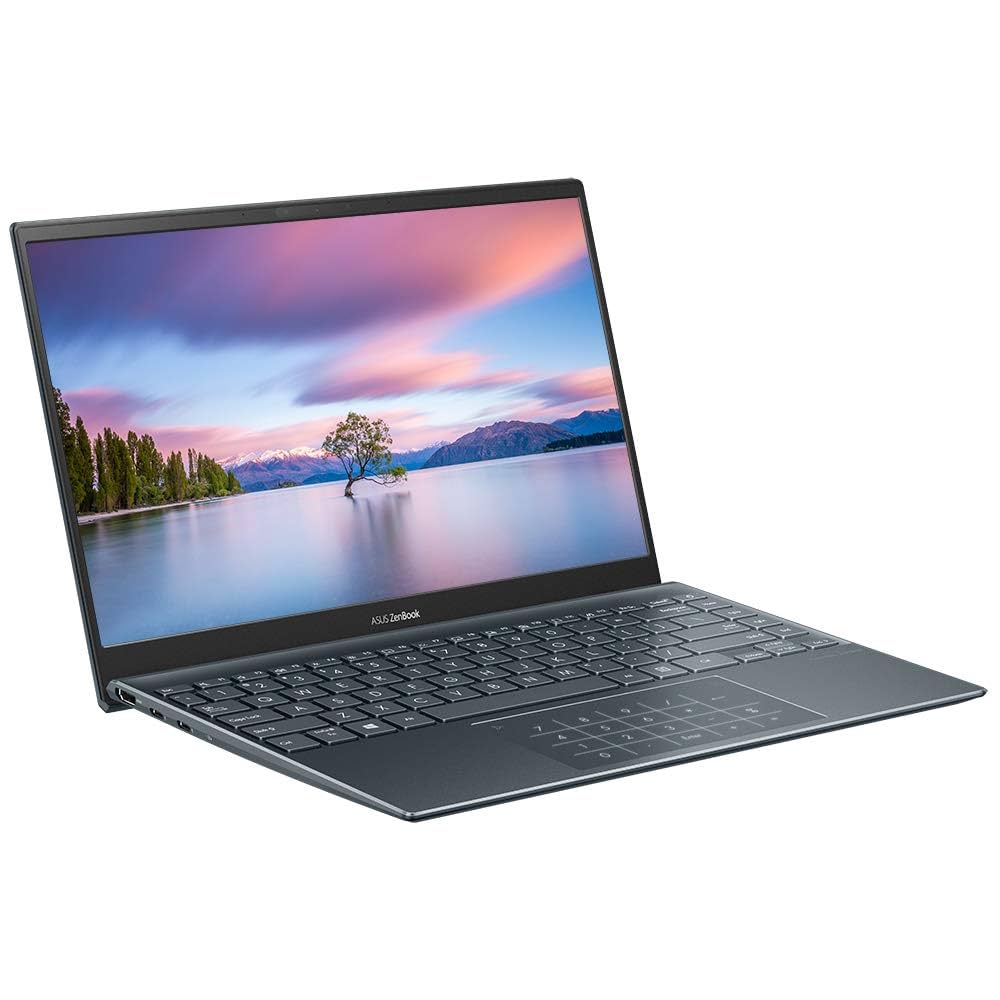 ASUS ZenBook UM425 Full HD 14